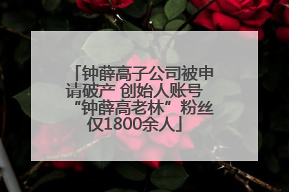 钟薛高子公司被申请破产 创始人账号“钟薛高老林”粉丝仅1800余人